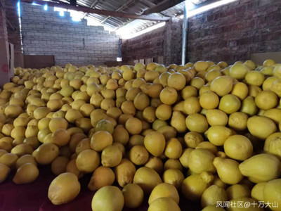 家鄉(xiāng)特色水果產(chǎn)業(yè) 產(chǎn)銷現(xiàn)狀、挑戰(zhàn)與機遇的觀察